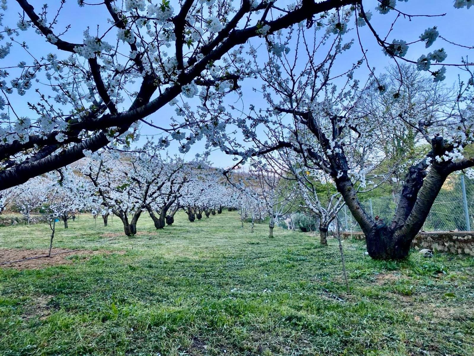 Casa Rural Valle Secreto Torremocha Екстериор снимка